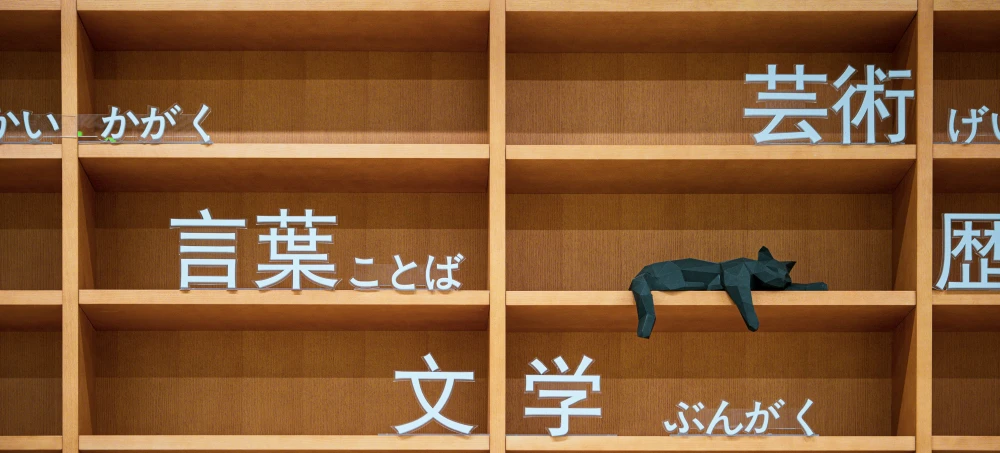 declan sun qJXInhA0KbQ unsplash